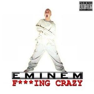 Eminem Fucking Crazy 93